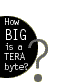 How BIG is a Terabyte?